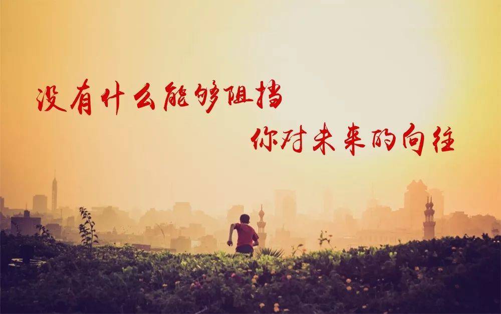 关于新疆队风雨逆境下奋勇拼搏，鞠躬尽瘁拼搏的信息