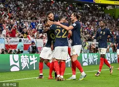 雷瓦尔德神破门，法国队高居晋级先导的简单介绍