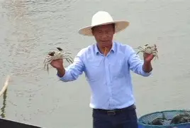 本场较量内线争锋，大闸蟹盖帽造翻天的简单介绍